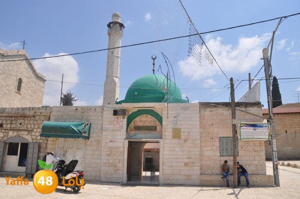 bazsalah lud 712 (52).JPG